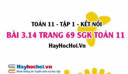 Giải bài 3.14 trang 69 Toán 11 tập 1 SGK Kết nối tri thức